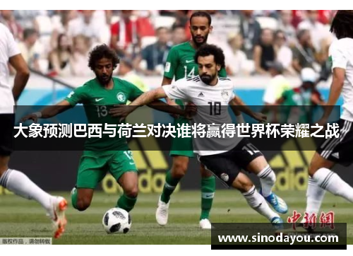 大象预测巴西与荷兰对决谁将赢得世界杯荣耀之战
