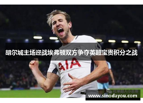 胡尔城主场迎战埃弗顿双方争夺英超宝贵积分之战