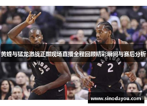 黄蜂与猛龙激战正酣现场直播全程回顾精彩瞬间与赛后分析