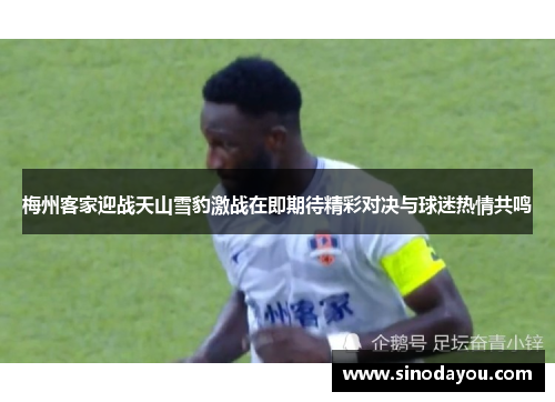 梅州客家迎战天山雪豹激战在即期待精彩对决与球迷热情共鸣