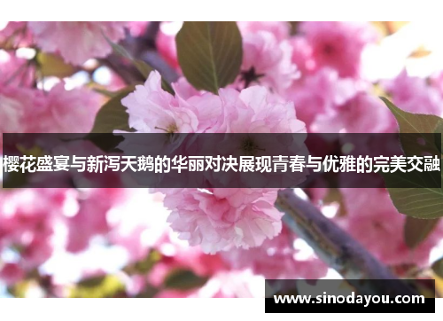 樱花盛宴与新泻天鹅的华丽对决展现青春与优雅的完美交融